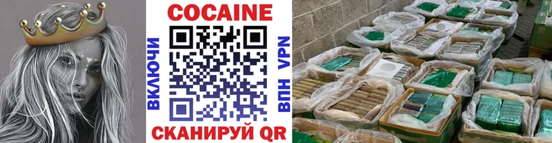 Купить закладки  Дзержинск  Cocaine FishScale 