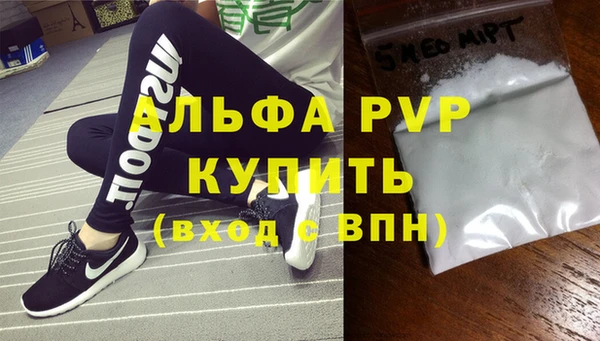 индика Новодвинск